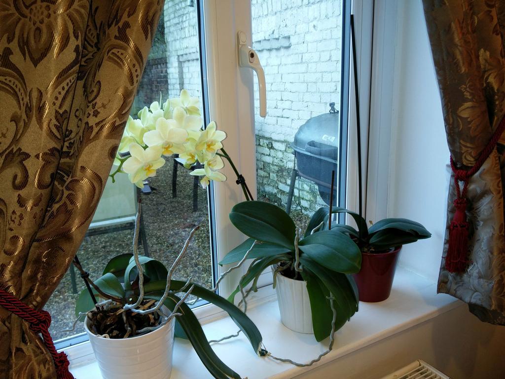 Hammersmith Apartment Брентфорд Экстерьер фото